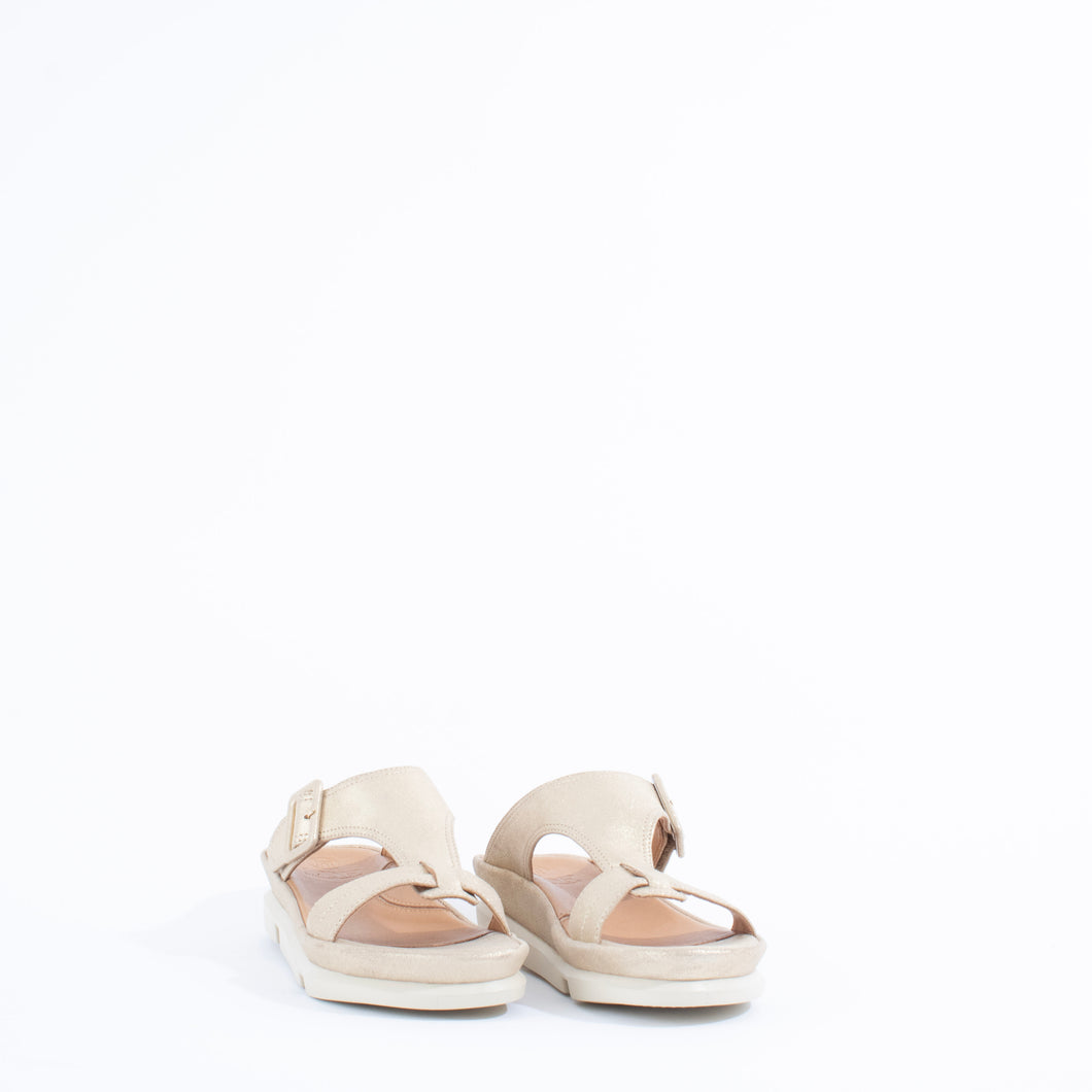 VERICK | GOLD STARDUST