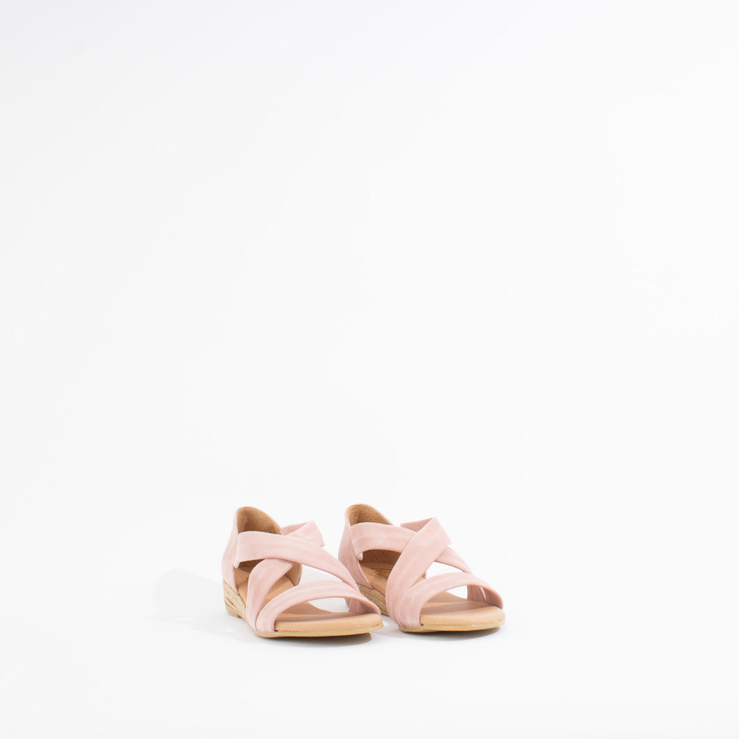 317 AO | ANTE NUDE